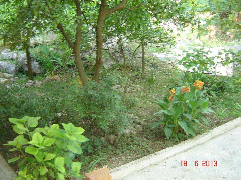 Apartments Dobrisa Kotor Extérieur photo
